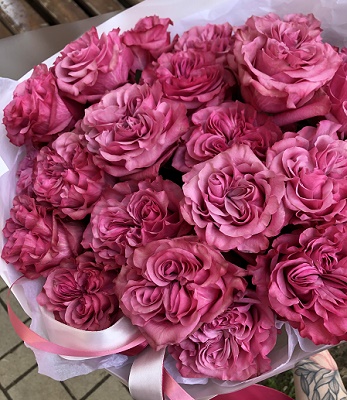 Троянда піон "Country Blues"