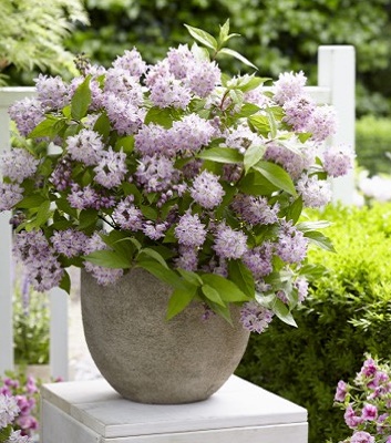 Кеңес кино актрисаларының жалаңаш эротикасы