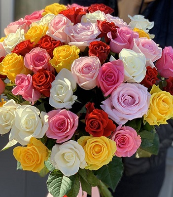 Троянди  МІКС (12 штук)