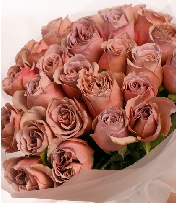 Троянда ч/г "Кафе Латте"