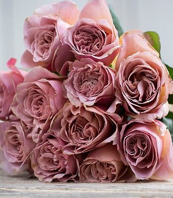 Троянда ч/г "Кафе Латте"